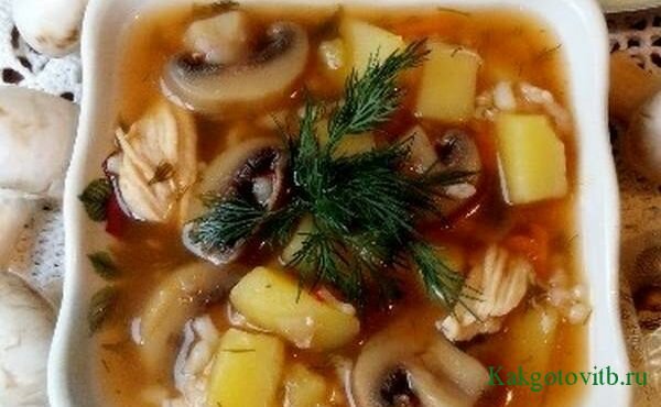 Грибной суп в мультиварке из свежих грибов